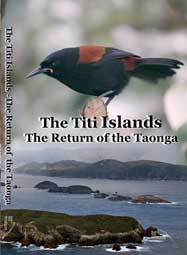 2011 The-Titi-Islands--Return-of-a-Tonga-